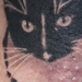 Tattoos - kitty stencil - 28808